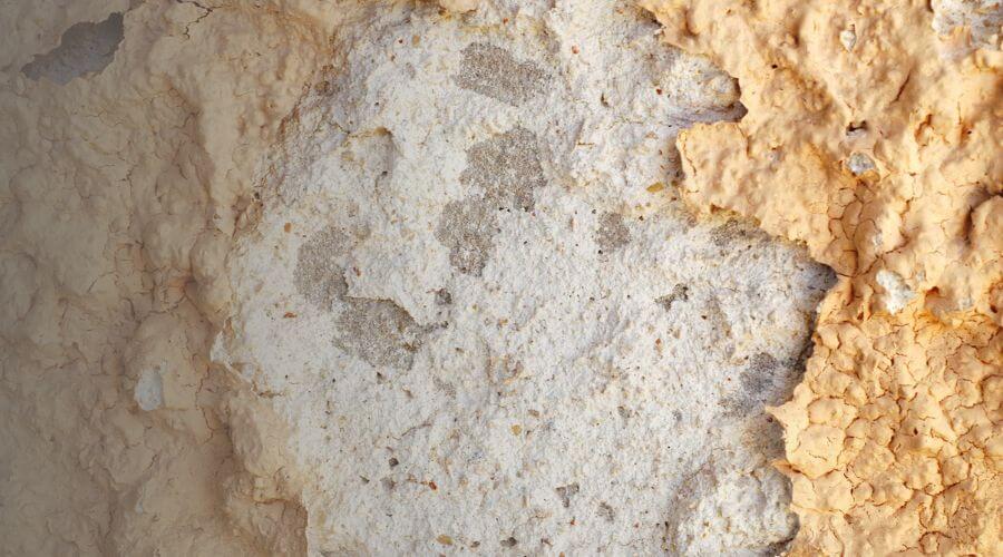 Why choose water damage restoration service for emergency water extraction services in Charleston